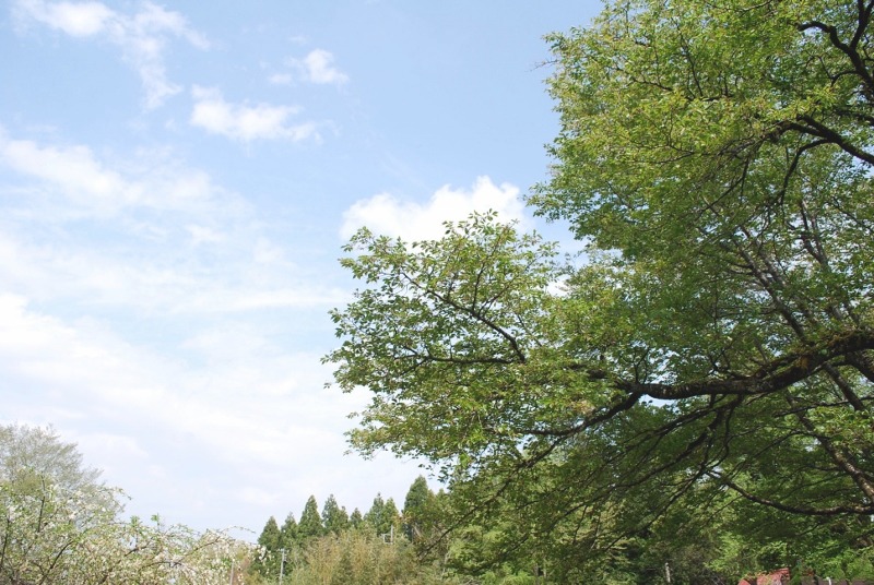 e0025300_218386.jpg