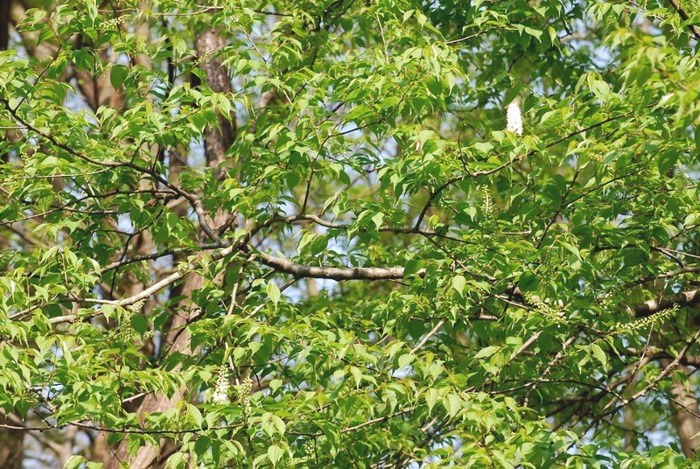 e0025300_22204657.jpg