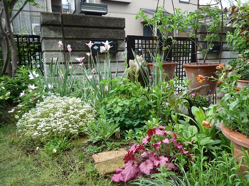 e0234004_20144521.jpg