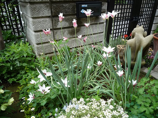 e0234004_20145166.jpg