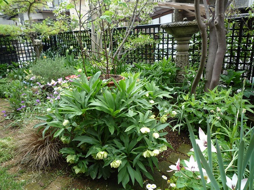 e0234004_2015184.jpg