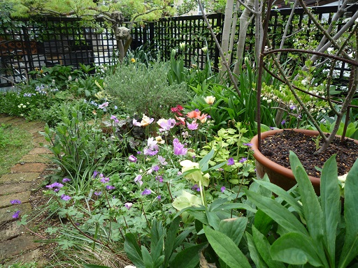 e0234004_20153923.jpg