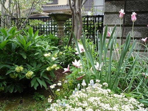 e0234004_2015749.jpg