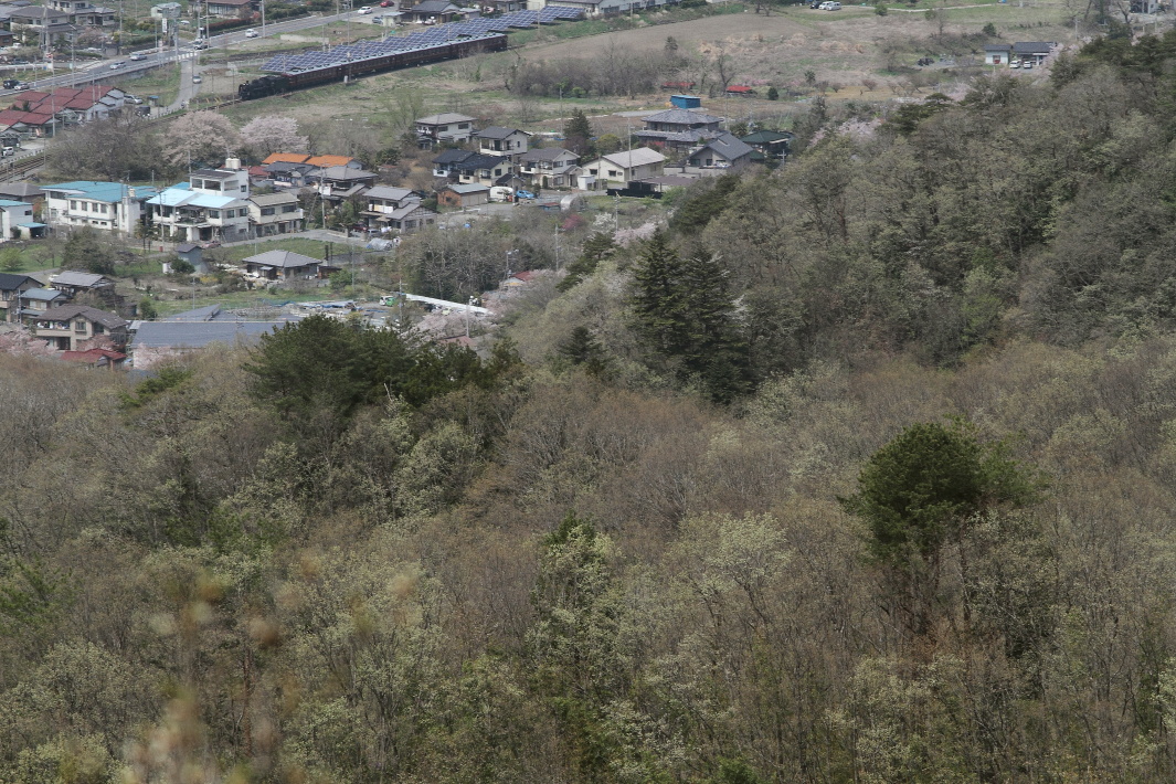 b0190710_1341670.jpg