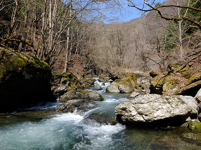 e0112722_203539.jpg
