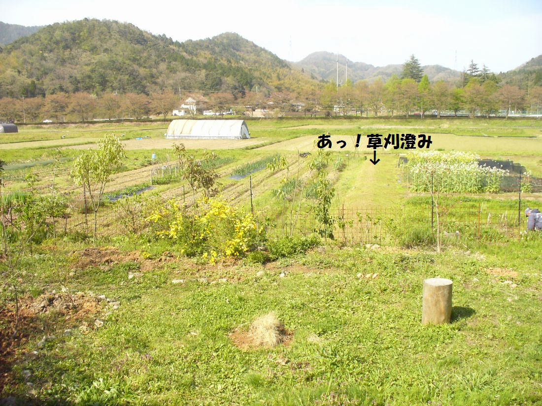 f0346527_21374836.jpg