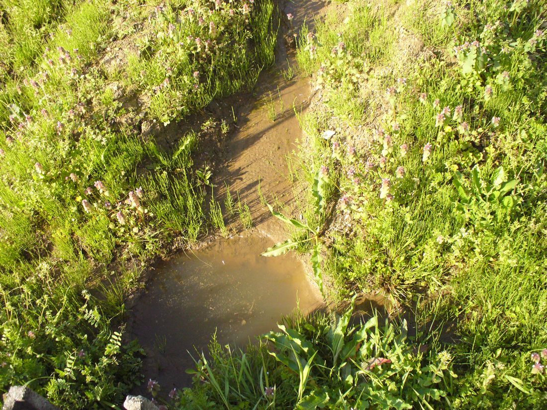 f0346527_21441487.jpg