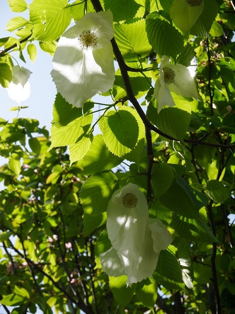 f0231829_22385592.jpg