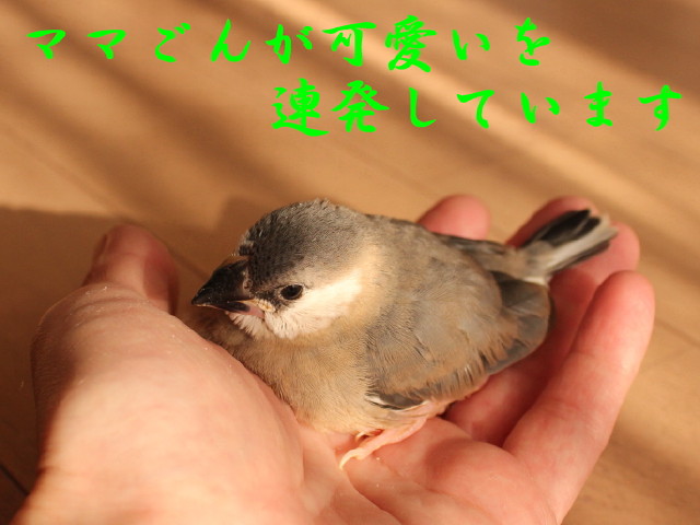 c0365734_23112874.jpg