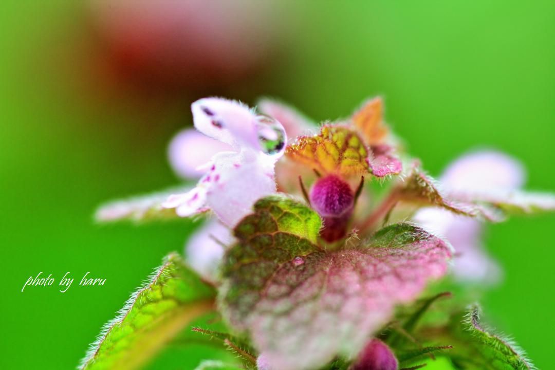 f0297537_08064298.jpg