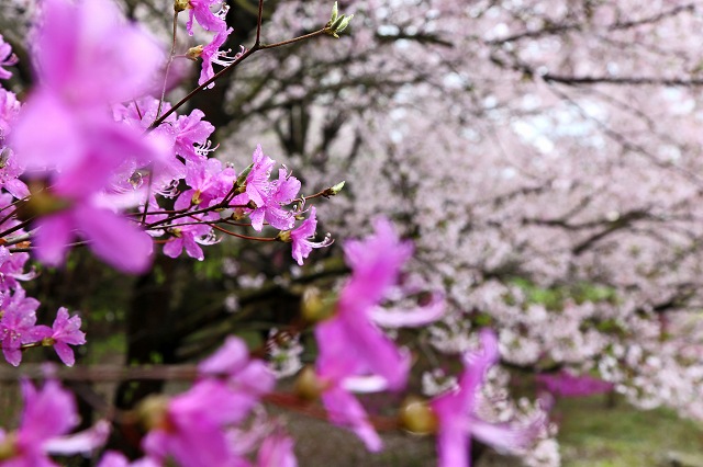 a0242438_18551018.jpg