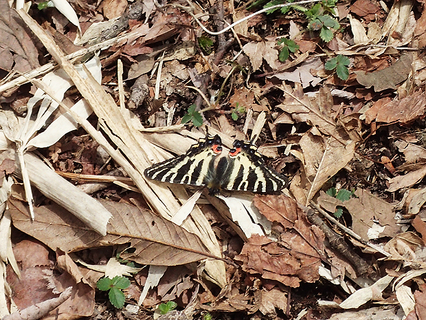 f0214649_13213017.jpg