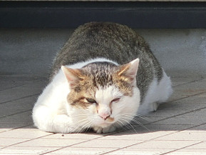 f0345284_20163023.jpg