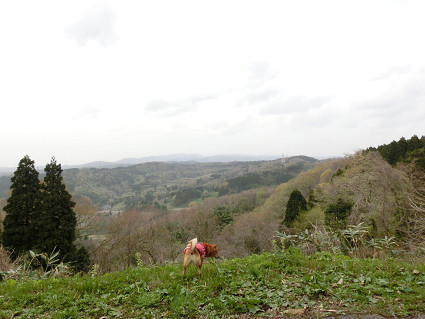 f0345284_20164038.jpg