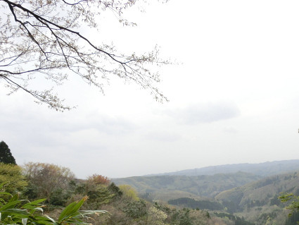 f0345284_20164411.jpg