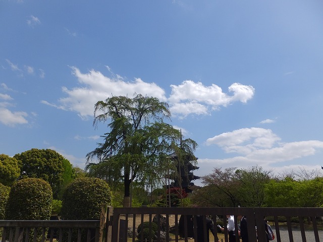 b0317485_16155444.jpg