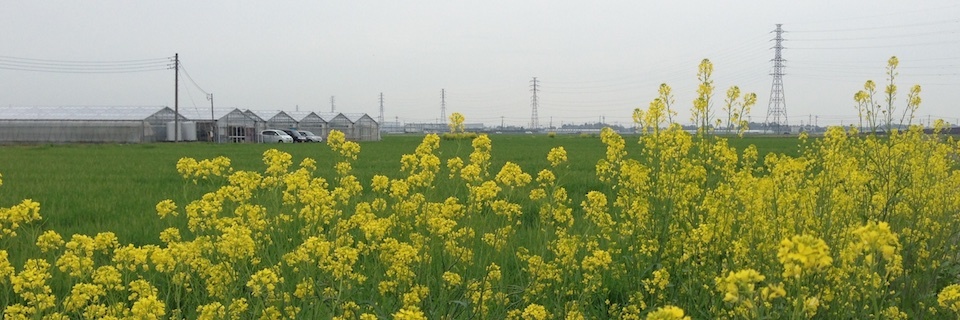 c0170789_08190692.jpg