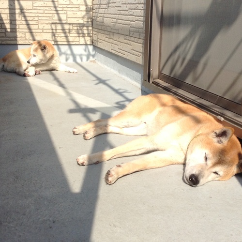 c0123890_20115580.jpg