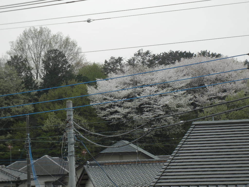 b0144891_18102125.jpg