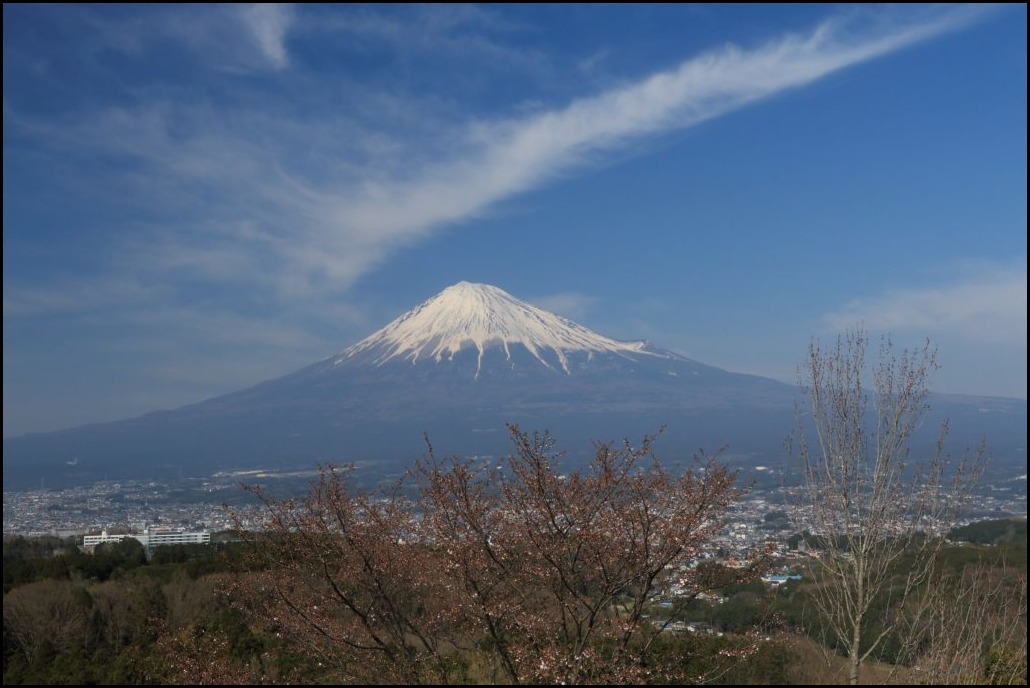 a0188405_20235387.jpg