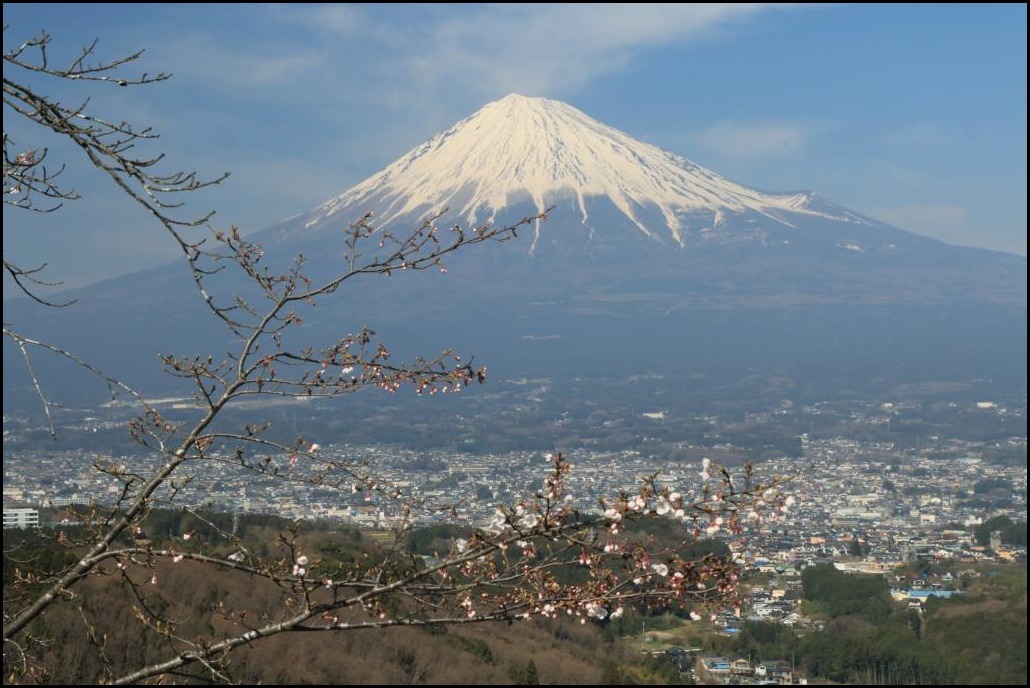 a0188405_20243422.jpg