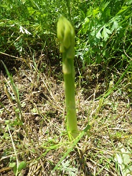 c0280206_872155.jpg