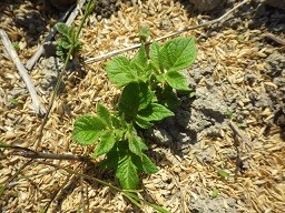 c0280206_89819.jpg