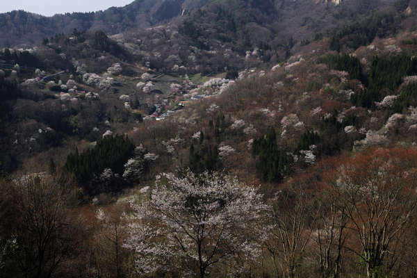 a0251508_1928346.jpg