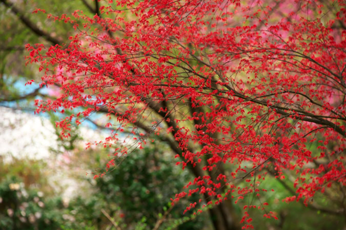 a0263109_1931246.jpg