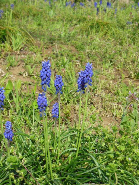 f0208812_21135195.jpg