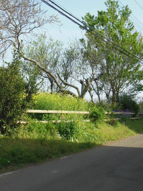 f0208812_21503818.jpg