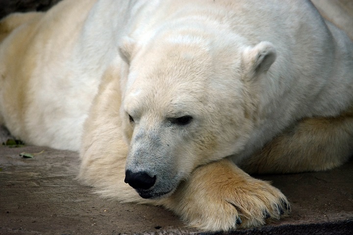 a0151913_535534.jpg