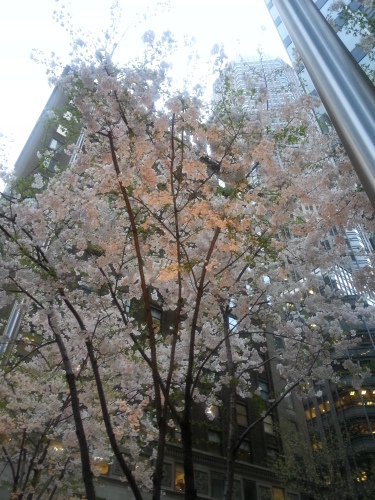 c0328616_10443690.jpg