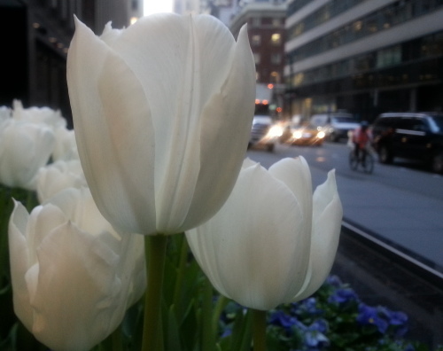 c0328616_10473772.jpg