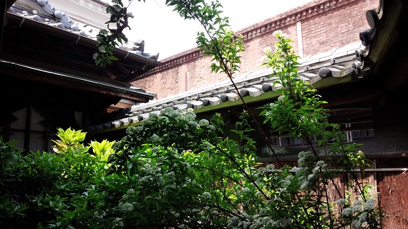 f0031420_1129986.jpg