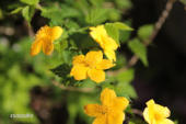c0204121_21204733.jpg