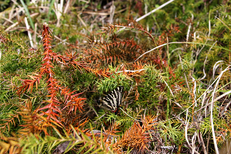 d0054625_2351387.jpg