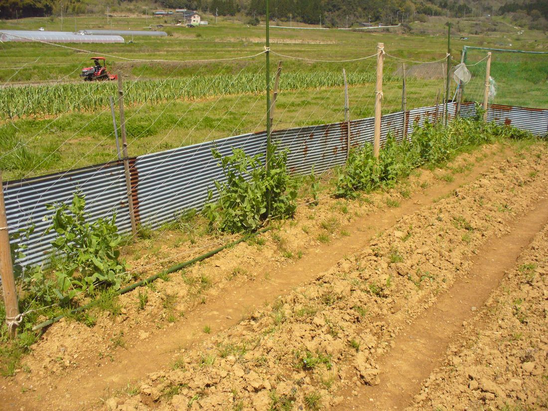 f0346527_22221869.jpg