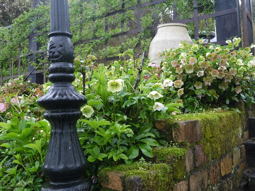 f0231829_21531337.jpg