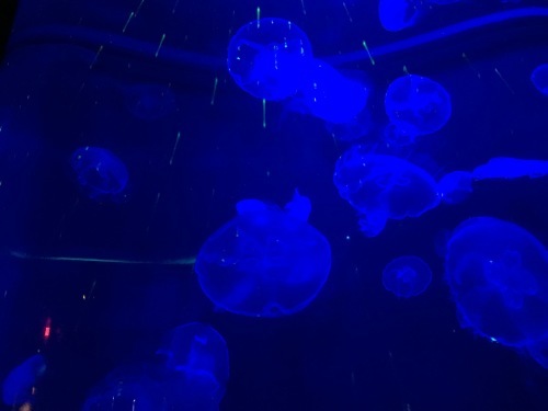 b0312230_00493621.jpg