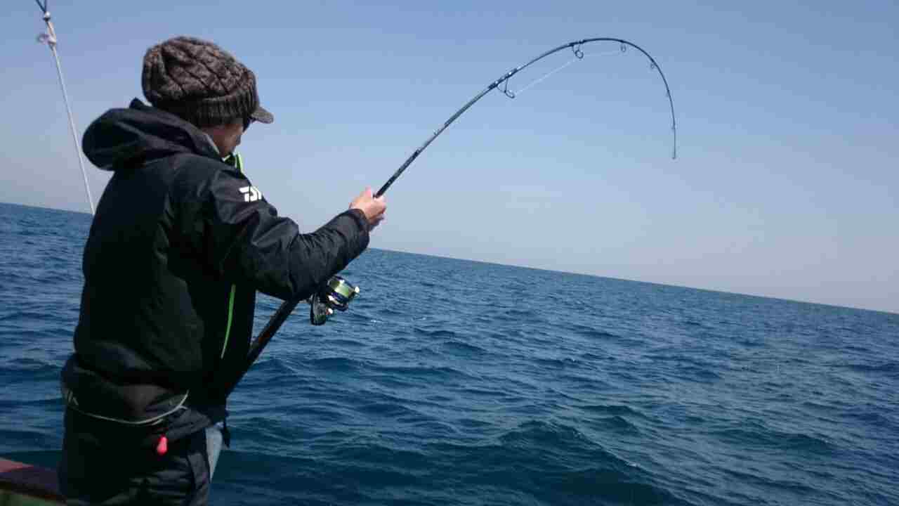 a0248152_18305435.jpg