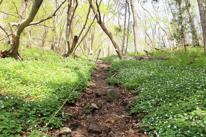 e0239458_20193209.jpg