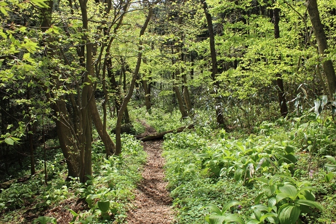 e0239458_20432013.jpg