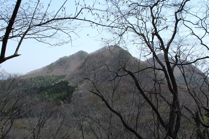 e0239458_20470664.jpg
