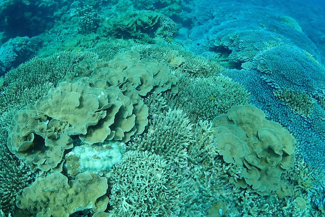 b0062363_20222767.jpg