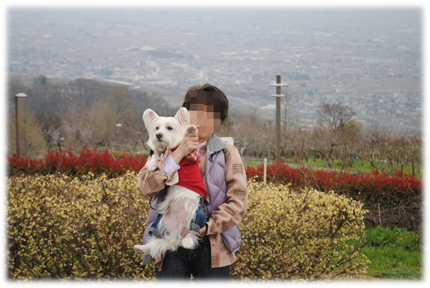 b0242873_01002380.png