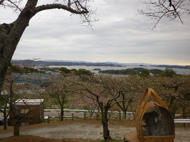 f0145575_1541124.jpg