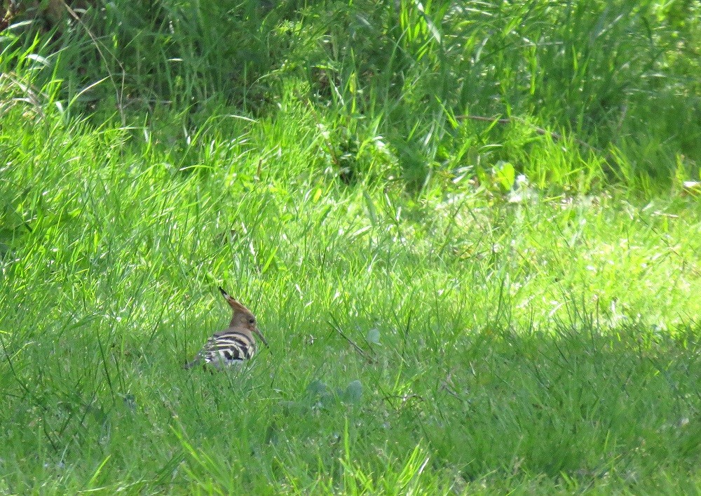 c0036878_22181198.jpg