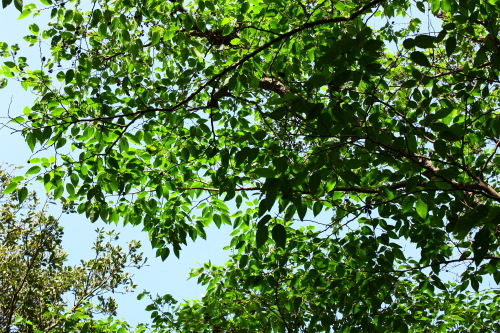 c0204385_22290181.jpg