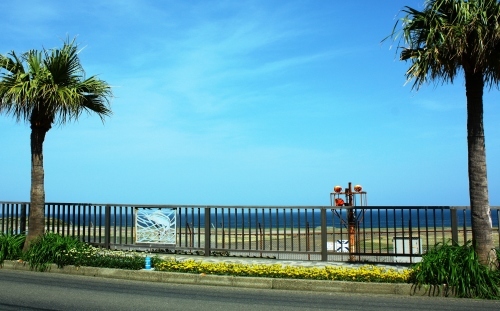 c0204385_22382438.jpg